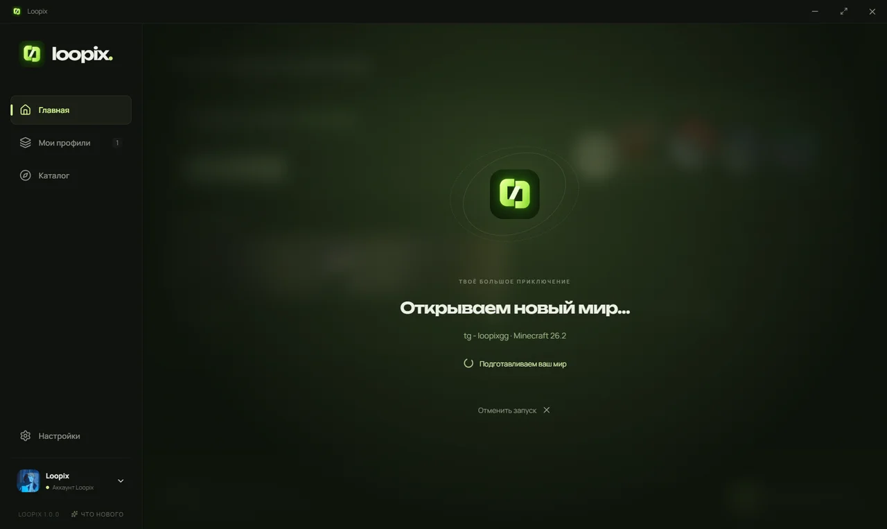 Изображение проекта